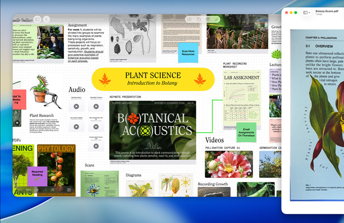 En Freeform-tavla om växtvetenskap på en Mac med ljud, videor och forskning bredvid en förhandsvisning av en pdf, som illustrerar hur enkelt det är att vara produktiv